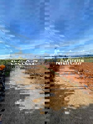 CHÍNH CHỦ CẦN BÁN ĐẤT TÂN HỘI LÂM ĐỒNG giá rẻ gần chợ