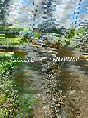 Cần bán đất full thổ, chính chủ