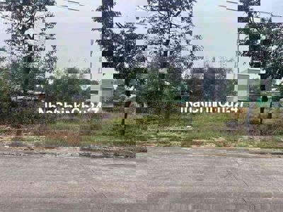 CHÍNH CHỦ BÁN GẤP LÔ ĐẤT 300M2-SHR-ĐƯỜNG 8M GẦN KCN MP3 . CÒN TL