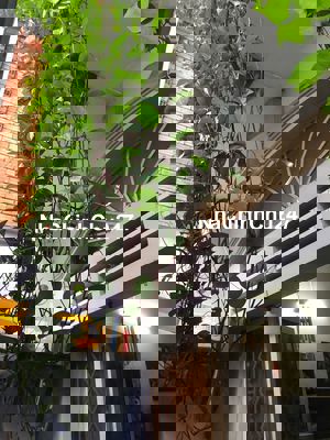 NHÀ CHÍNH CHỦ GẦN SÂN BAY (12 phút) chưa qua KD, vượng khí tốt. 4.6 tỷ