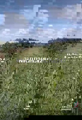 CHÍNH CHỦ CẦN BÁN: 🥰Bán Đất mặt tiền lộ Huyện 21 Thới Lai, Trường Th