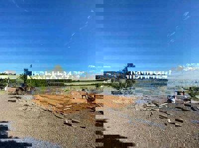 Em chính chủ gởi bán Lô vườn bưởi 8700m2, Trên đất trồng bưởi 7 năm