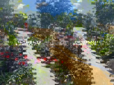 Bán nhà, chính chủ giá rẻ xã Tân Lâm huyện Di Linh