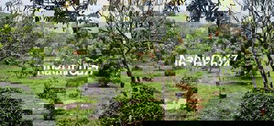 chính chủ bán nhà vườn 6.000m2, khu du lịch sinh thái hồ phúc thọ