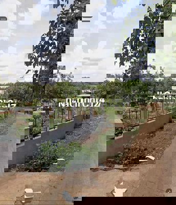 CHÍNH CHỦ GỬI BÁN ĐẤT NỀN 282M2, 100% THỔ CƯ, 2TỶ9