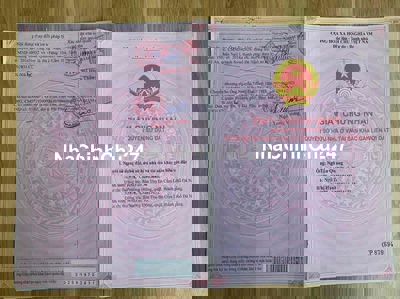 chính chủ cần bán TĐC nhà vườn Hoà Ninh, h: ĐNs thông