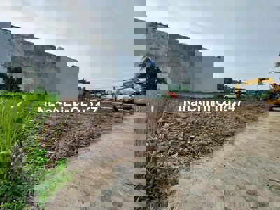 Chính chủ Cần bán gấp đất thổ cư 8x20 SHR xã Bình Mỹ, Củ Chi