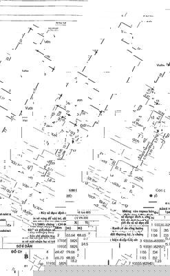 Chính chủ bán nhanh đất bình chánh - đã lên thổ