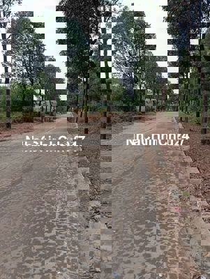 Chính chủ bán lô đất rẻ nhất mp3