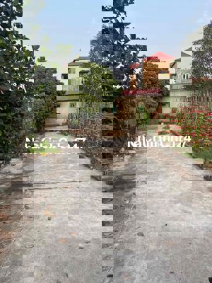 💥 ĐỨC HIỆP – XUÂN LÂM | 82M² VUÔNG ĐẸP – GIÁ CHỈ 3.55 TỶ – CHÍNH CHỦ C