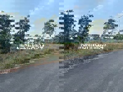 Chính Chủ Bán 420m2 Đất Nền Ngang 21m, Mặt Tiền Đường 26m, Nhơn Trạch