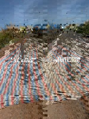 Chính chủ bán 1000m² 100mtc chỉ 790 triệu tiếp giáp nhựa Liên xã