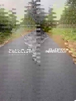 Bán đất thổ cư đường nhựa, thị trấn Phước Vĩnh, chính chủ