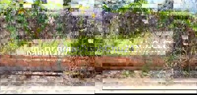 chính chủ bán lô đất gần kcn hiệp thạnh