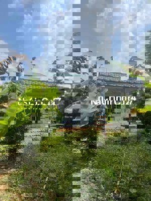 chính chủ ra nhanh đón tết