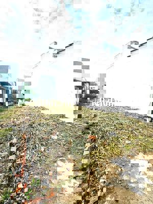 🌈Chính Chủ Cần Bán Nền Đất Full Thổ Ngay Chợ Cần Giuộc Xây Dựng Tự Do