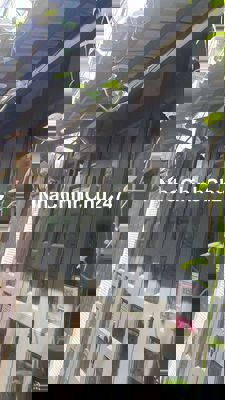 BÁN NHÀ CHÍNH CHỦ – PHƯỜNG 12, QUẬN TÂN BÌNH - Hẻm 77 Lê Lai