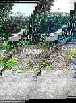 Lô đất chủ ngộp gửi bán đường bê tông rộng 242m2 giá chỉ 490tr