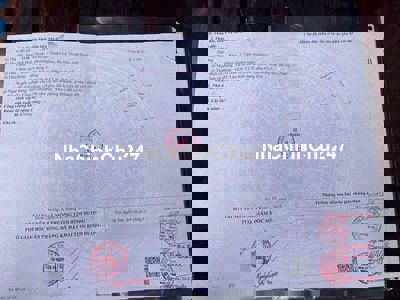 chủ kẹt bank bán gấp căn nhà 4*20 thổ cư 60