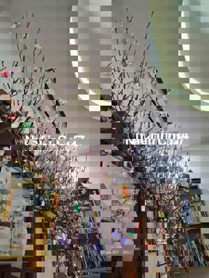 Chính chủ cần chuyển nhượng, nhà sạch, ấm cúng