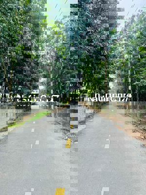 chính chủ bán Đất mặt tiền 502  300m2 full thổ cư