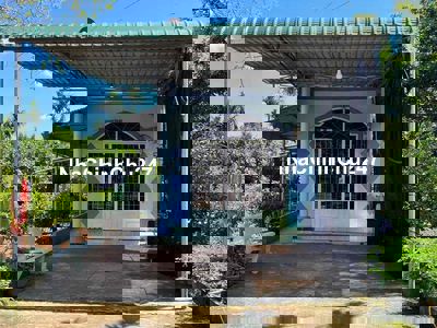 GIA CHỦ CẦN BÁN NHÀ VƯỜN Ở CHƠN THÀNH, BÌNH PHƯỚC