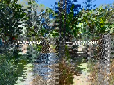 chính chủ cần bán