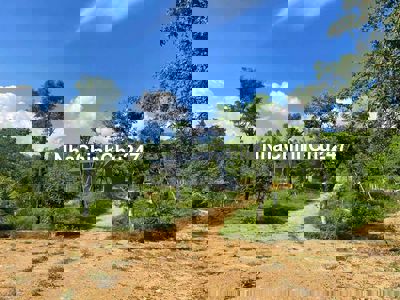 Đất Tam Đảo chính chủ ( miễn tiếp môi giới)