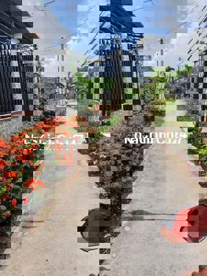 Chính chủ cần bán dãy trọ gần KCN Cầu Tràm