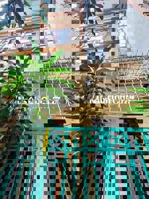 CHÍNH CHỦ BÁN NHÀ CẦU GIẤY - LÔ GÓC - CẠNH NHÀ LÀ SÂN CHƠI THỂ THAO- N