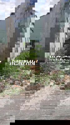 Bán Gấp Đất cầu Phú Long Q12. P BÌnh Hòa Thuận An 89m2 SHR, chính chủ