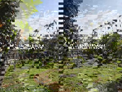 chính chủ gửi bán nhà gổ mặt tiền vo thi đây. (40x58) giá 26 ty