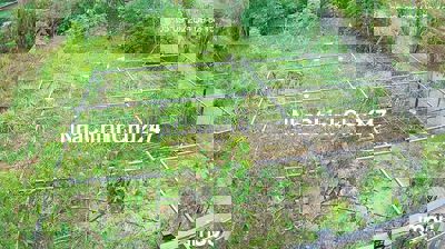 đất đà lạt tà nung chính chủ 2.500 m2 nở hậu L ,