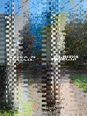 🔥 BÁN ĐẤT THỔ CƯ 100% – CHÍNH CHỦ TẠI MỸ THUẬN, AN GIANG