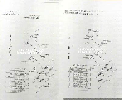 Bán Đất Thổ Cư – Có Sổ Hồng Riêng- Chính Chủ