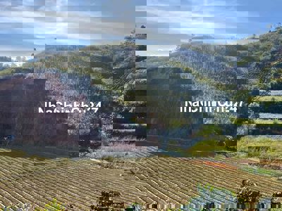 Chính chủ cần bán 3000m đất nông nghiệp tại phường LangBiang đã có sổ