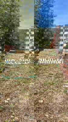 BÁN ĐẤT CHÍNH CHỦ 2,4 TỶ CÒN TL