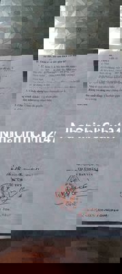 Bán đất chính chủ tại ngã 3 xã phương xá cũ - cẩm khê - phú thọ