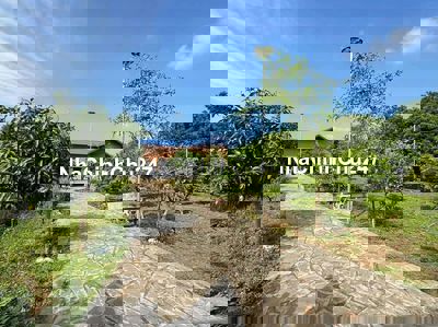 Chủ cần bán gấp căn nhà vườn ngay tại tp hcm