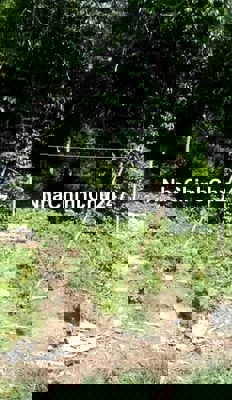 Tôi chính chủ cần bán rẻ lô Phú Thượng, Hòa Sơn, Hòa Vang 880t