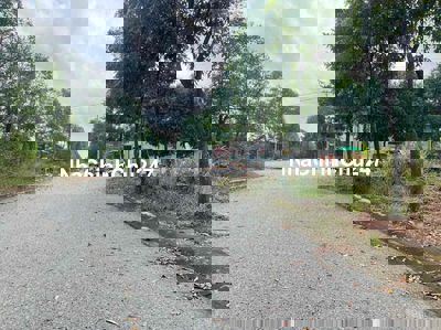 Chủ Hạ Giá Bán Gấp - Mp4 Thới Hoà Giá 1tỷ670 150m²