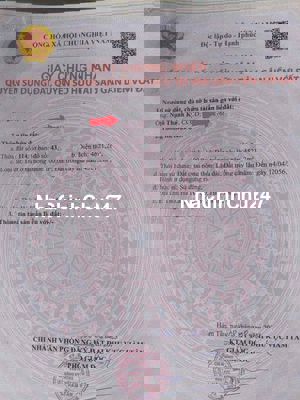 Đất Ven Biển Chính Chủ 4621m2 Hẻm xe hơi Tc 100m2