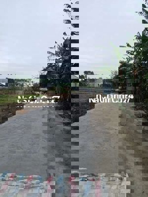 Chính chủ gởi bán lô đất gần dự án quang phường điện bàn bắc