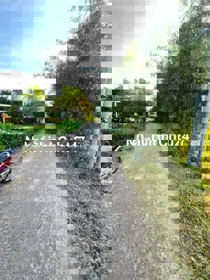 Đất chính chủ cần bán