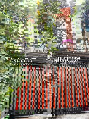 Siêu Phẩm 1 Trệt 1 Lầu Sổ hồng riêng Hoàn công - Chính chủ