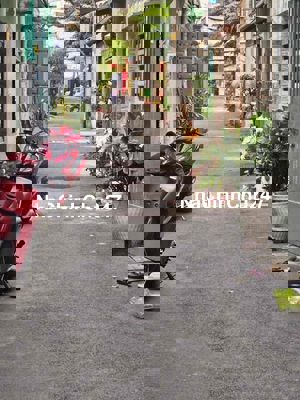 cần bán gấp nhà chính chủ