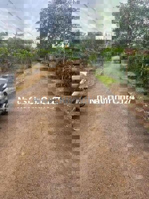 Chính chủ 500m2 CLN nhựa Hưng Lộc 1T200