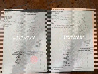 Gia đình chủ chia tài sản, cần vốn làm ăn, muốn bán nhanh lô đất Villa