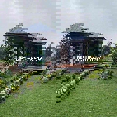 chính chủ cần ra gấp lô đất thổ cư ở Đồng Nai mới