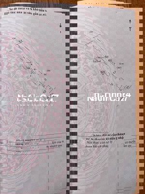 em cần tiền nên cho em nó về với chủ mới